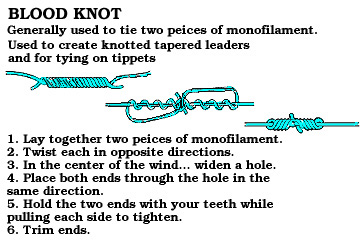 blood knot