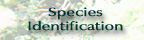 species